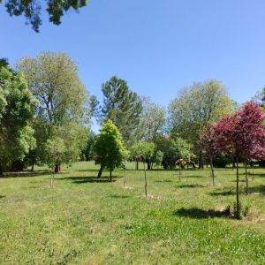 Paisaje exterior de la Casa de Espiritualidad Santa María de Huerta donde se celebra el retiro